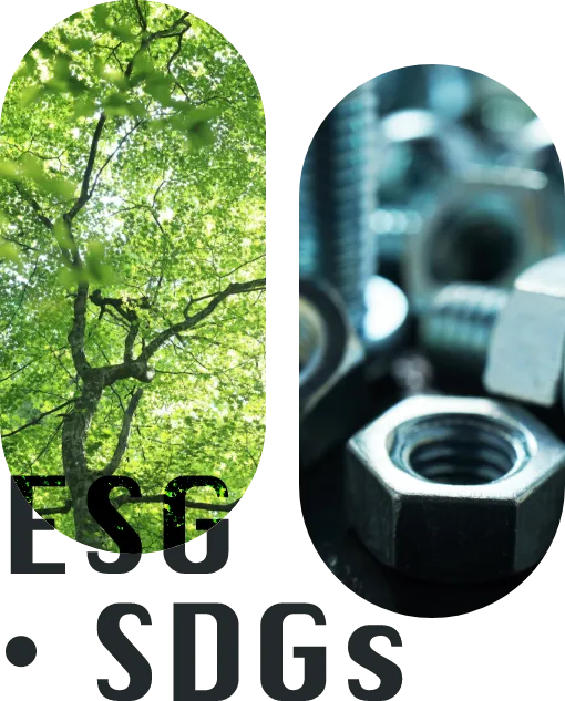 SDGs